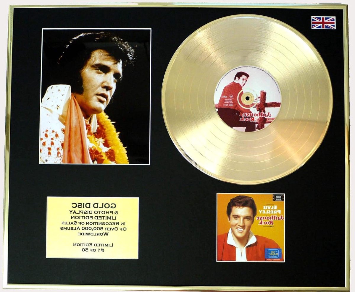 Muziek Display - Gouden Plaat - Woondecoratie - Gelimiteerde Editie - 25x20 cm - Goud