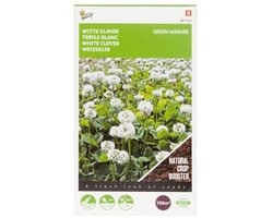 Buzzy® Groenbemester Witte Klaver - 100 gram