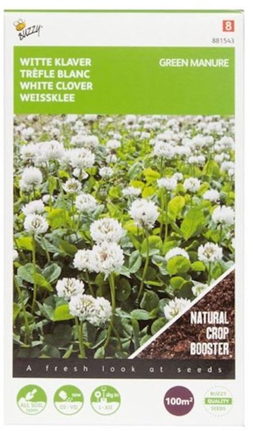 Groenbemester Witte Klaver