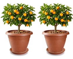 Plasticforte 2x plantenpot met opvang schaal - terracotta - rond - D50 x H40 cm - kunststof - buiten - tuin - bloempot