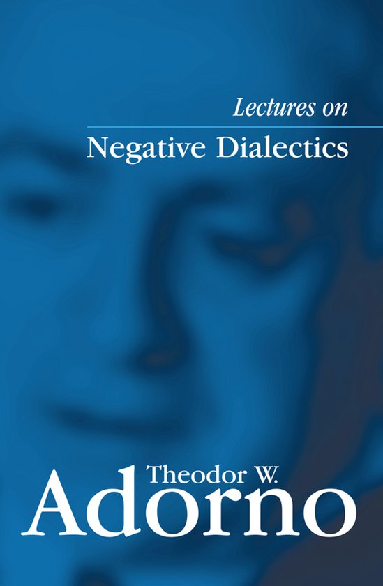 Lectures On Negative Dialectics