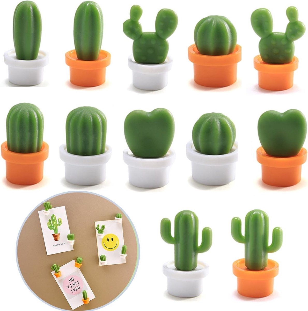 Leuke Cactus Magneetjes, 12 Stuks Succulenten, Decoratieve Koelkast Magneten voor Kerst en Thanksgiving, Ideaal voor Foto's en Decoratie