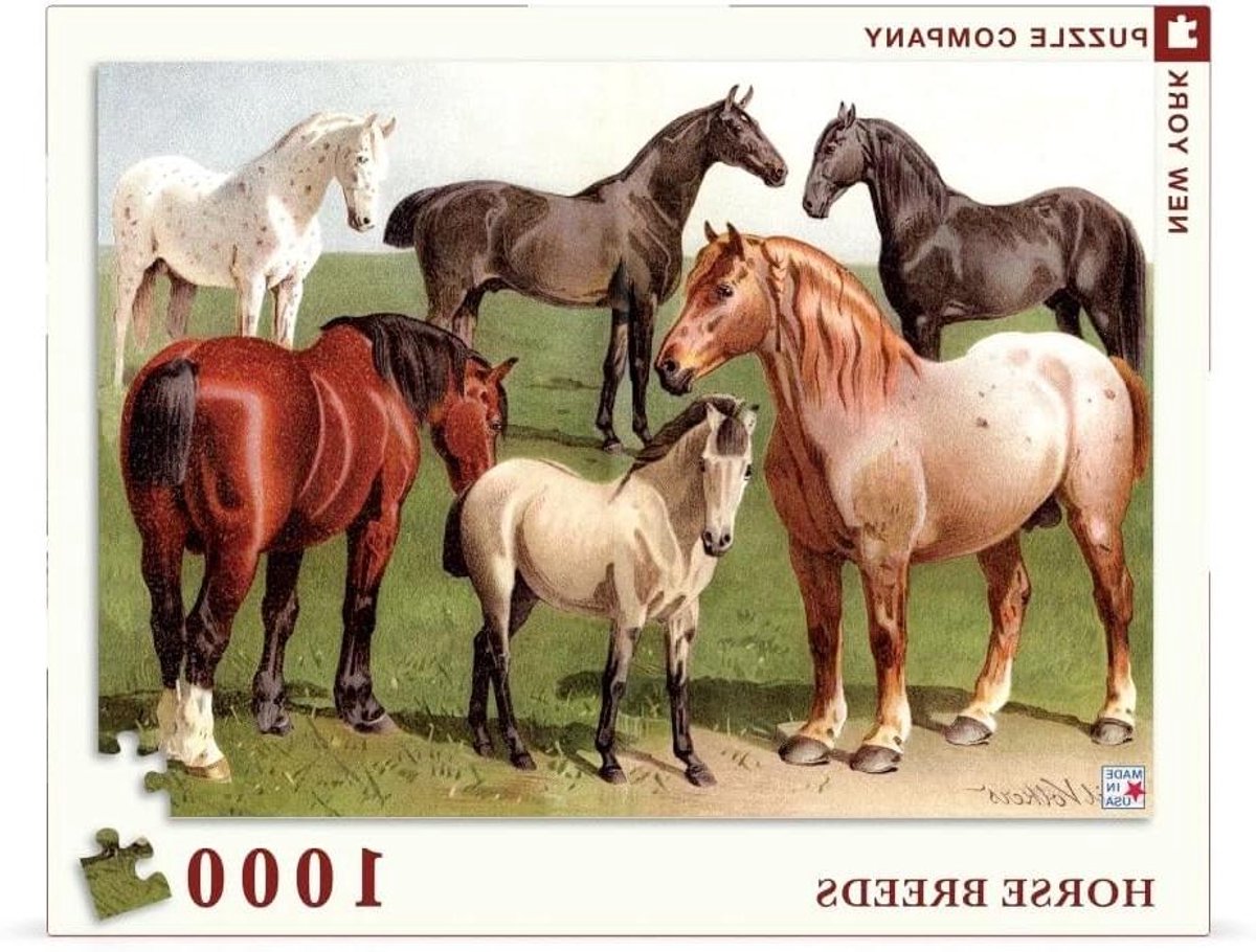 Paardenrassen Puzzel - Dierenpuzzel Fotocollage - Ontspannend Legpuzzelen - Origineel Vintage Ontwerp - 1000 Stukjes - Multicolour