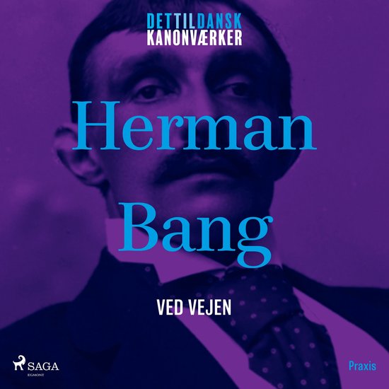 Ved vejen. Et kanonværk - cover