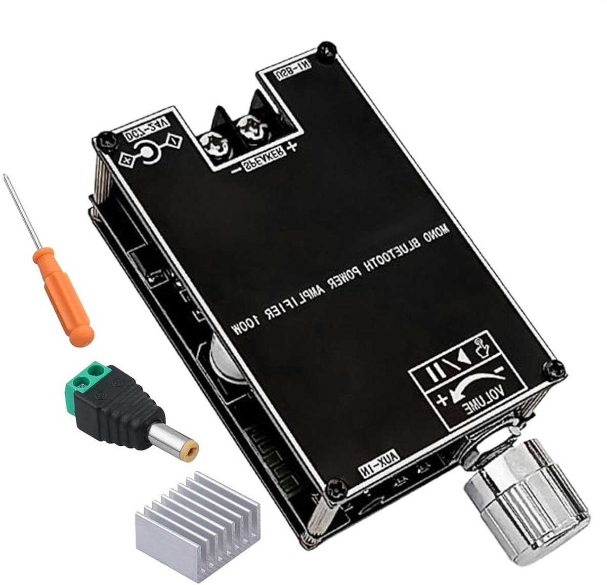 Versterker Board - Audio Module - Muziek Luisteren - 100W Mono Vermogen - 89x45x20mm - Zwart