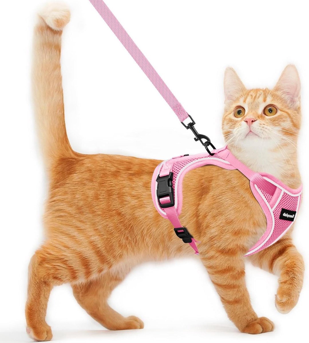 Kattenharnas en riem - Veilig tuigje - Buitenavonturen - Ontsnappingsbestendig ontwerp - Maat S - Roze