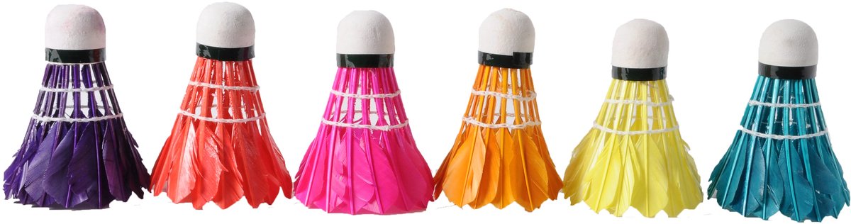 Badminton Shuttles Veren 6 Stuks Assorti Neon – Foam Top 4,5–5 g – Trainingen of Recreatief Gebruik – Engelhart