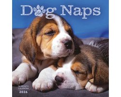 Dog Naps Kalender 2026