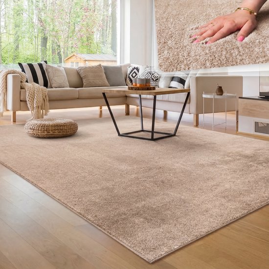 Paco Home Moderne woonkamer tapijt kortpolig wasbaar zacht uni effect bont antislip 300x400 cm