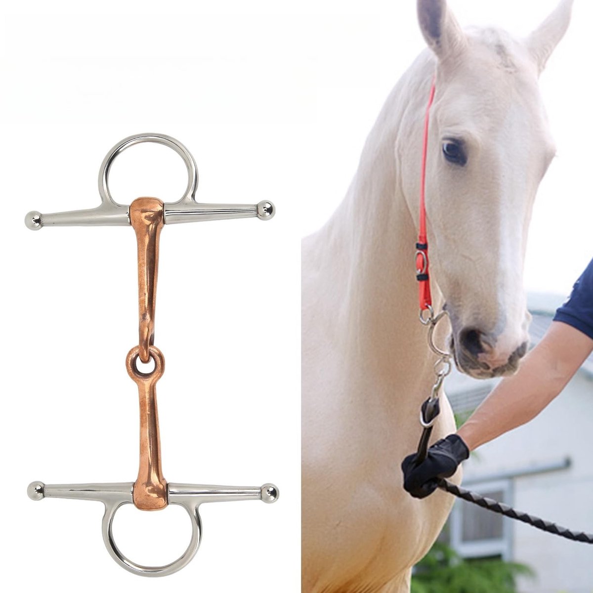 MTTproducts- Wangringtrens Roestvrij Staal 125 Mm - Paardrijaccessoires - Training - Hoofdsteluitrusting - Duurzaam - Eenvoudige installatie - Paardenbit