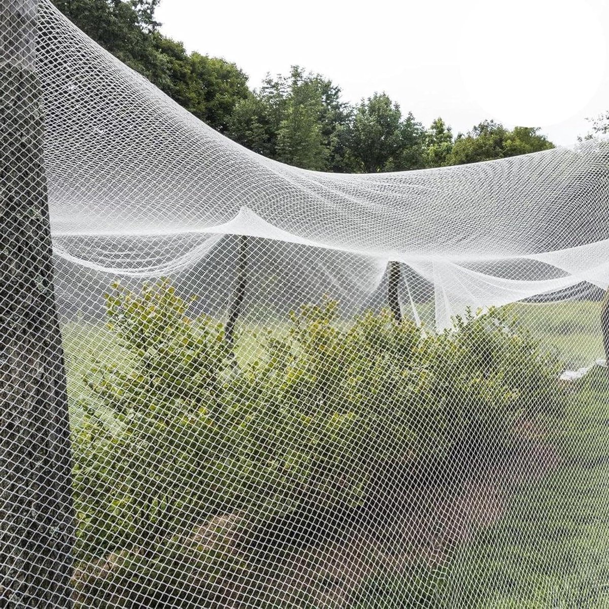 Tuinbeschermingsfolie - Beschermnet Planten - Gewassen Beschermen - Fijnmazig Ontwerp - 2 x 50 m - Wit