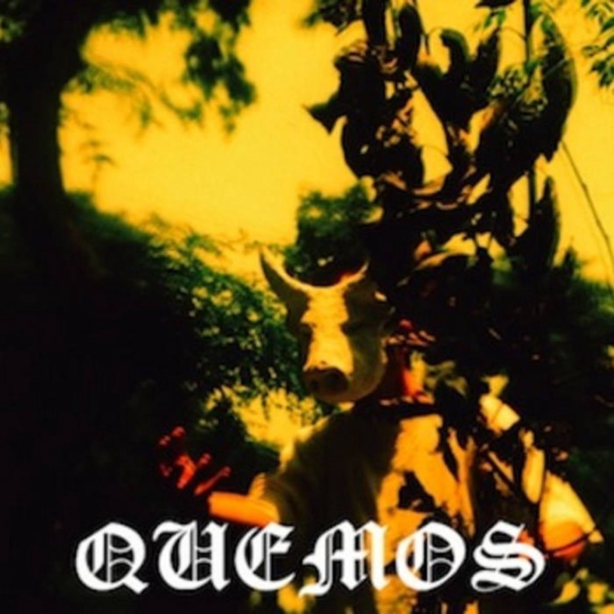 Quemos