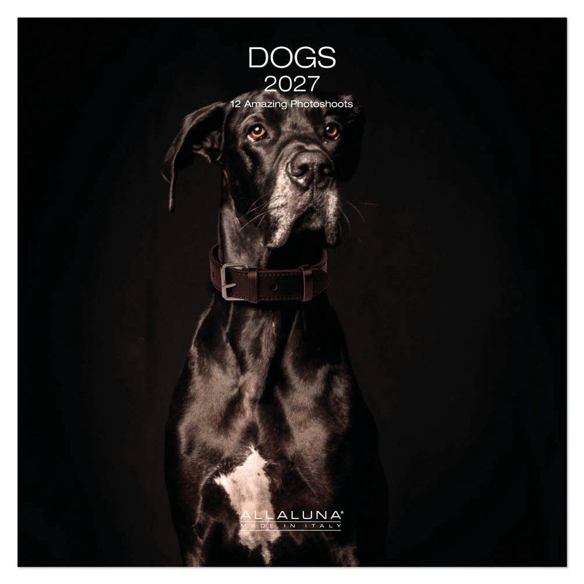 Dogs kalender 2027