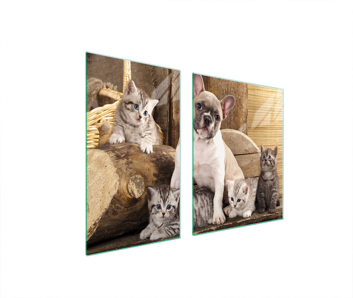 TMK ArtDeko - Snijp- en Deco Glasplaat - 100x52cm - Motief Hond - Tempered Glas