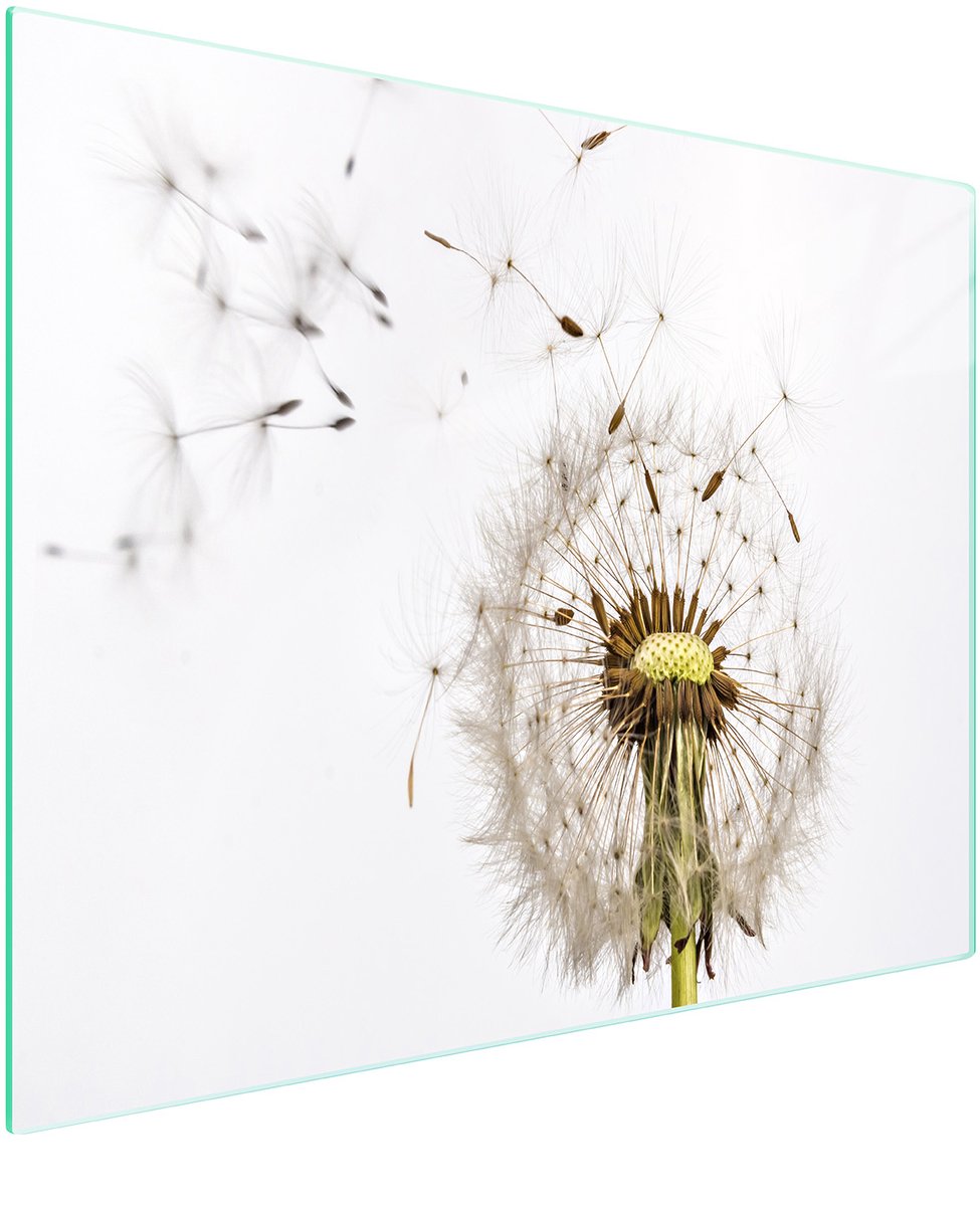 TMK ArtDeko - Snijplank van glas - 52x30 cm - Kleurpatroon bloem