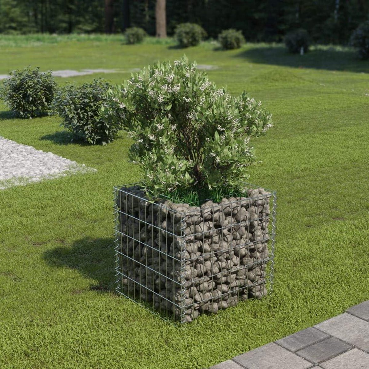 Verhoogd Schanskorfbed - Palletframe Steenkorf - Tuinieren Bloembedden - Roestbestendig Gelegeerd Staal - 50 x 50 x 50 cm - Zilver
