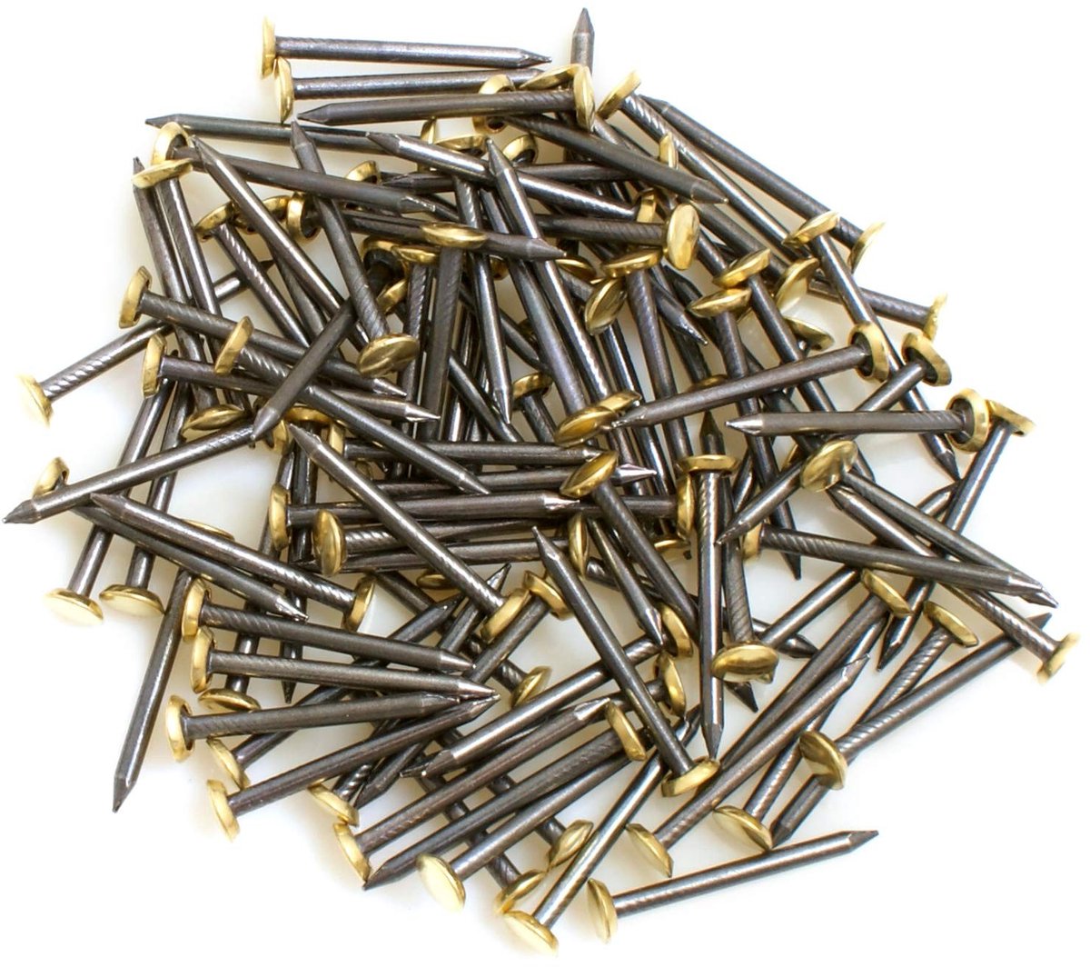 Dailygoods - Dailygoody - Design61 steel painting nails - 100 stuks - Hoogwaardige spijkers - 25 mm - Geschikt voor schilderwerk - Blauw - Sterk en duurzaam