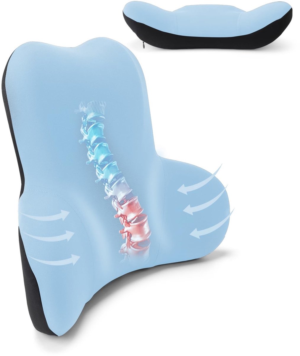 Dailygoody - Office Chair rugkussen - ergonomisch lendenkussen - traagschuim ondersteuning - lichtblauw - wasbaar voor bureaustoel - ideaal voor volwa