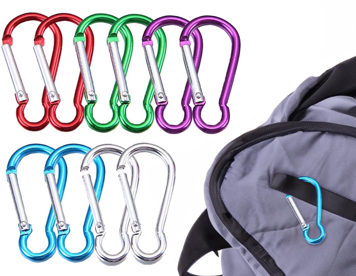 Dailygoods - Dailygoody - Mini Karabijnhaken - Sleutelhanger - Compact en lichtgewicht - 5 kleuren - Voor kamperen en reizen - Perfect voor avonturiers