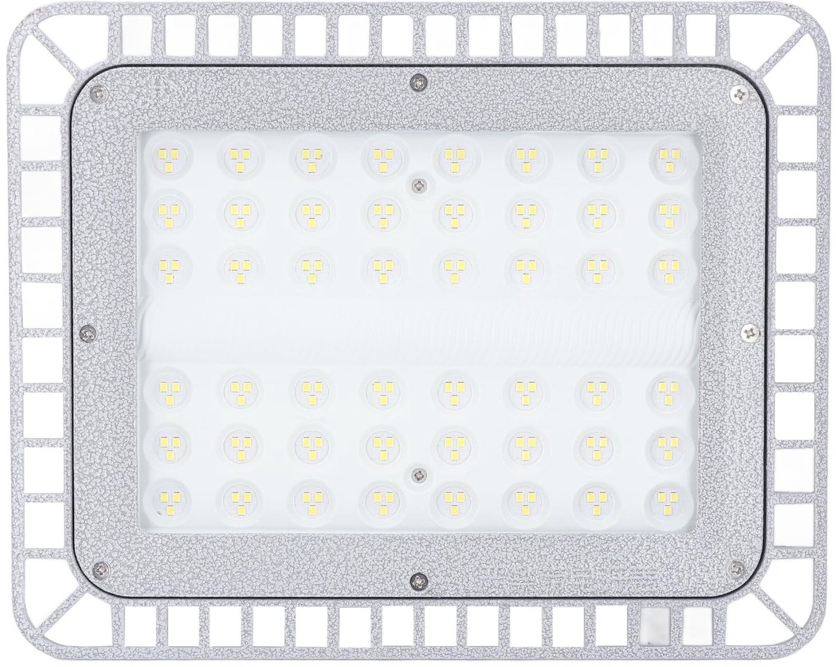 Dailygoods - Dailygoody - LED Explosiebestendig Licht - 100W - Hoge Helderheid - Waterdicht - 12000lm - Ideaal voor Fabrieksworkshop - 5000K