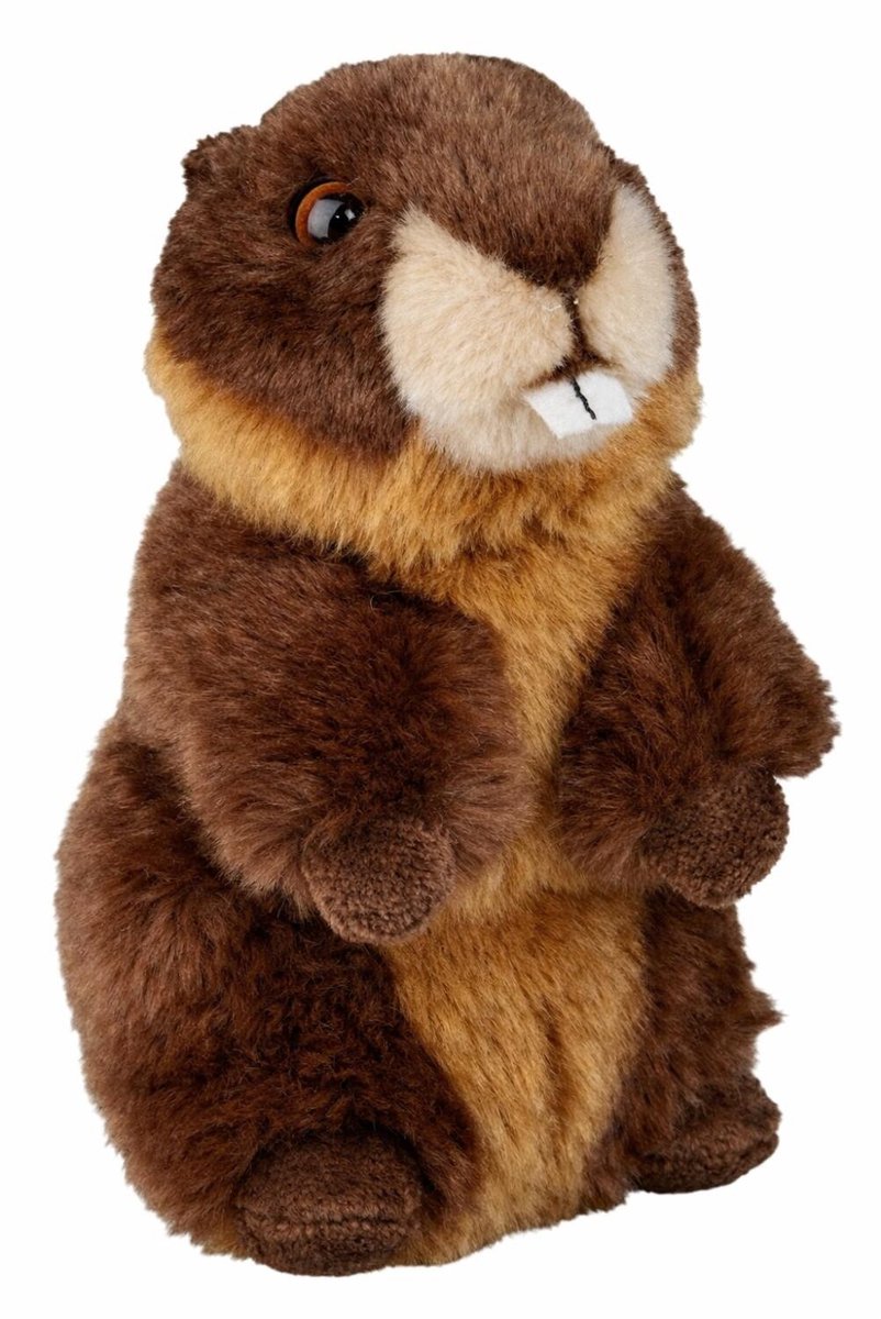 Ravensden Pluche bever knuffel - bruin - 18 cm - Bevers knaagdieren knuffels