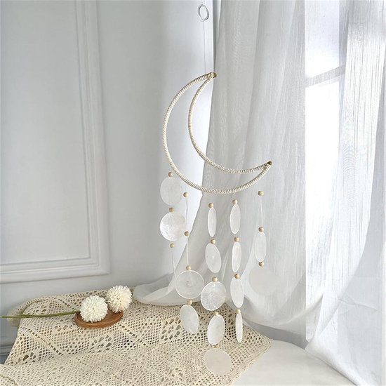 Coquillage, mini coquillage, coquillage nacré, nacre, décoration Coquillage, mini coquillage, coquillage nacré, nacre, décoration
