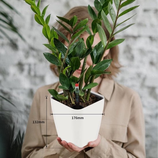 CPROSP 2-delig, 28 cm, zelfbewaterende pot, hangend met waterniveau- indicatoren, zelfwaterende bloempot, plantenhanger, hangbloempotten met drainagegaten, bloempot, waterreservoir, met potsysteem