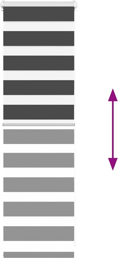 vidaXL - Zebra - store enrouleur - 55x100 - cm - largeur du tissu - 50,9 - cm - noir