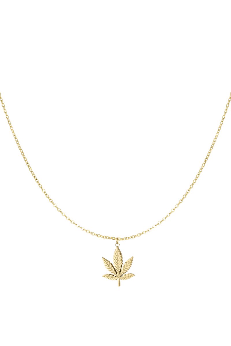 Ketting Amsterdam Wiet - Goudkleurig - Unisex - Stainless Steel