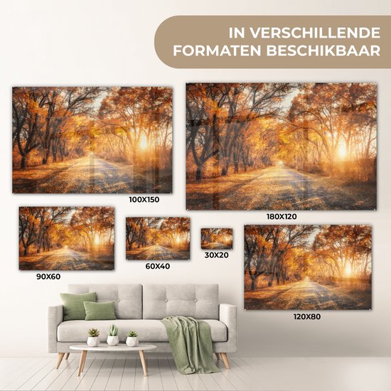 MuchoWow® Peinture sur verre 150x100 cm - Peinture sur verre acrylique - Forêt - Automne - Arbres - Chemin forestier - Nature - Photo sur verre - Décoration murale salon - Décoration murale chambre - Peintures