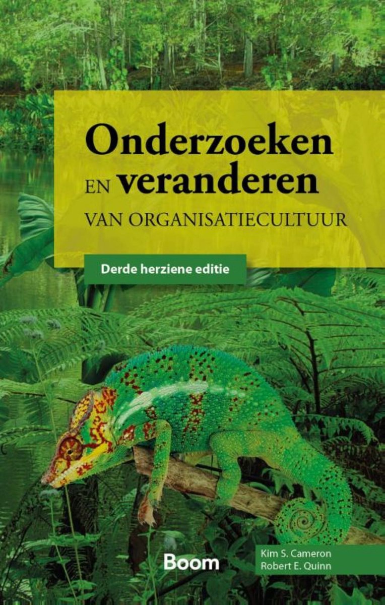 Omslag van Onderzoeken en veranderen van organisatiecultuur