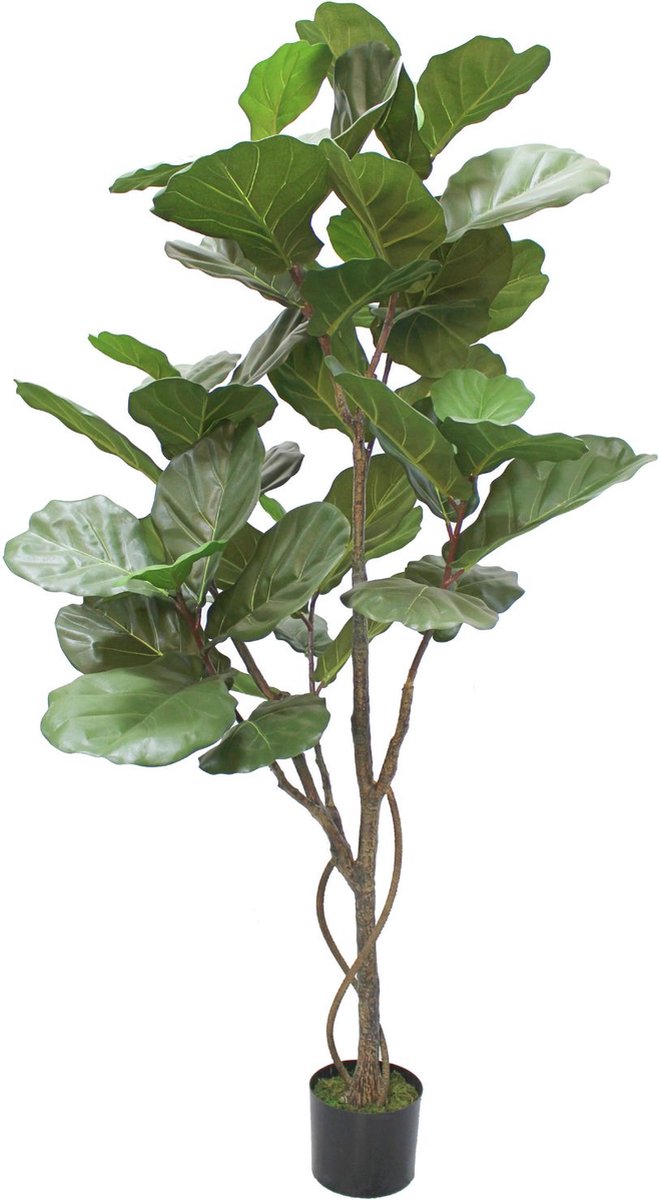 PrettyPlants Ficus Lyrata Kunstplant 180cm Groen