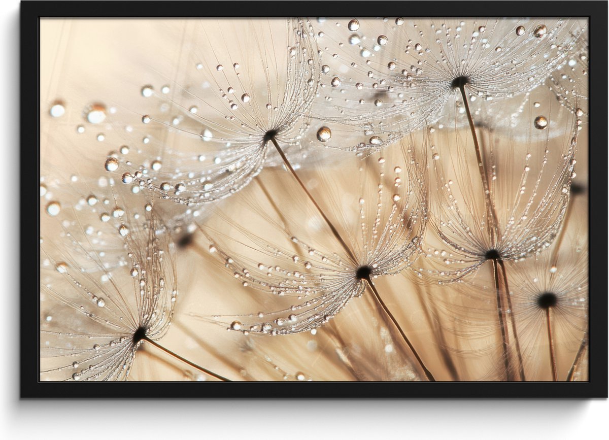 FrameYourWall Poster in lijst - Fotolijst 60x40 cm - Posters - Paardenbloem - Abstract - Natuur - Beige - Posterlijst zwart - Decoratie - Wanddecoratie woonkamer - Muurdecoratie slaapkamer Paardenbloem - Water