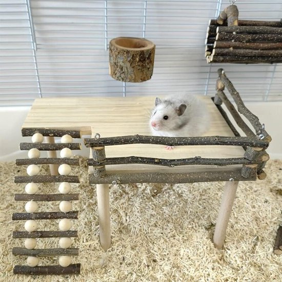 Les 11 races de chiens les plus mignonnes ! - Just Russel