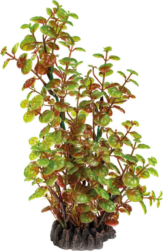 Art plants Rotala 25cm