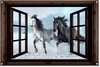 Chevaux, Neige
