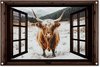 Highlander écossais, Neige