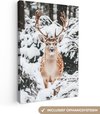 Cerf, Neige