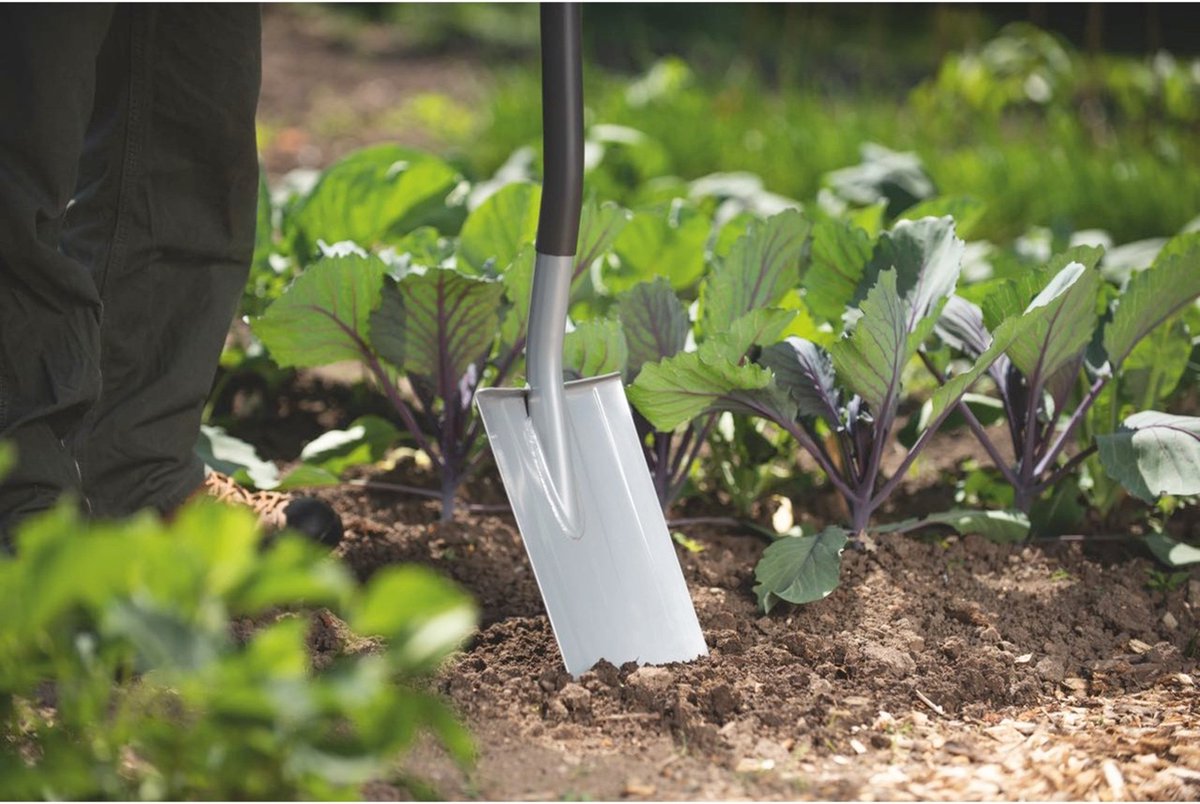 Afbeelding 2 van WOLF-Garten 73ADA005650 Spade Werkbreedte 19 cm