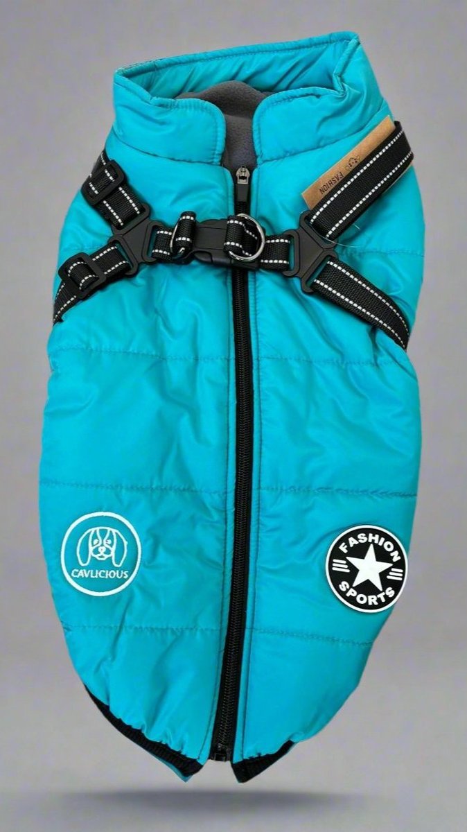 SPORT Jacket Big Dogs