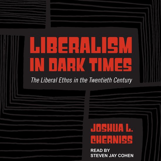 Liberalism in Dark Times - cover