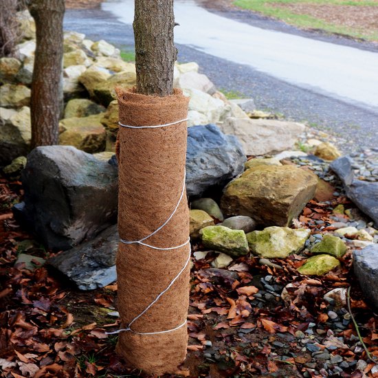 Boomstam omwikkeld met bruine kokosmat en wit touw.