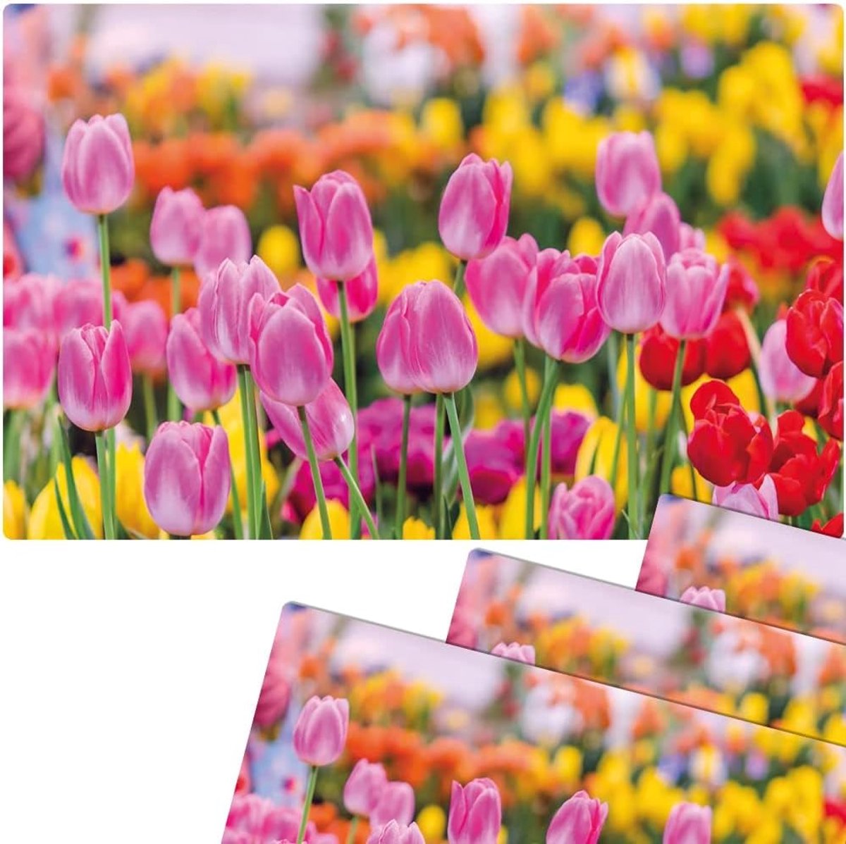 Placemats Set - Tafeldecoratie - Keuken en Eettafel - Bloemenprint - 43.5 x 28.5 cm - Roze