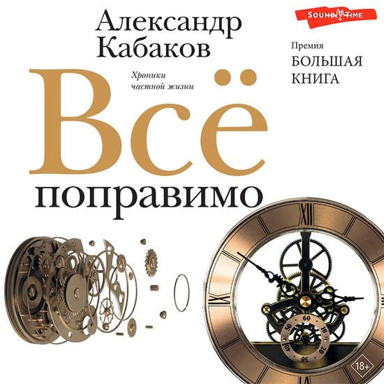 Всё поправимо - cover