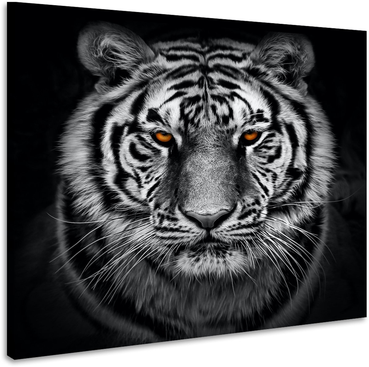 karo-art Schilderij - Tijger in zwart en wit met oranje ogen, premium print, 3 maten Multikleur