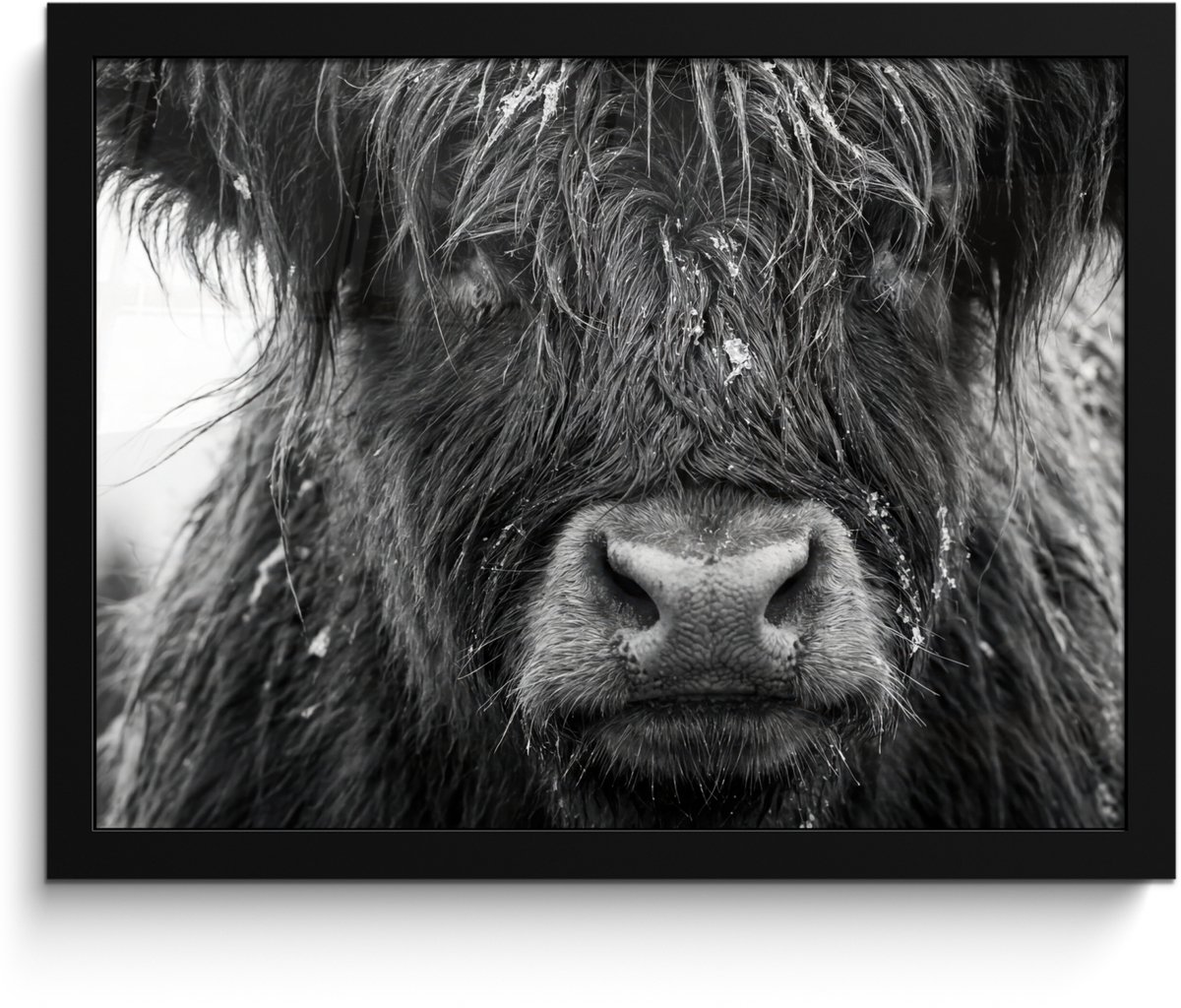 FrameYourWall Poster in lijst - Fotolijst 40x30 cm - Posters - Schotse hooglander - Zwart - Wit - Sneeuwvlokken - Posterlijst zwart - Decoratie - Wanddecoratie woonkamer - Muurdecoratie slaapkamer