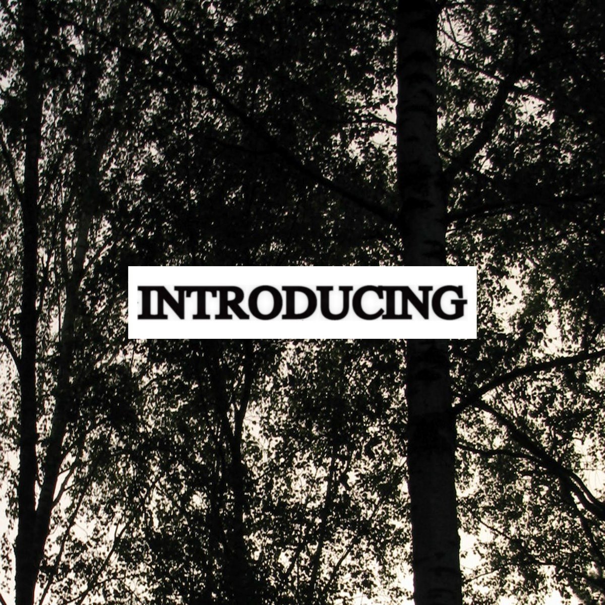 Introducing