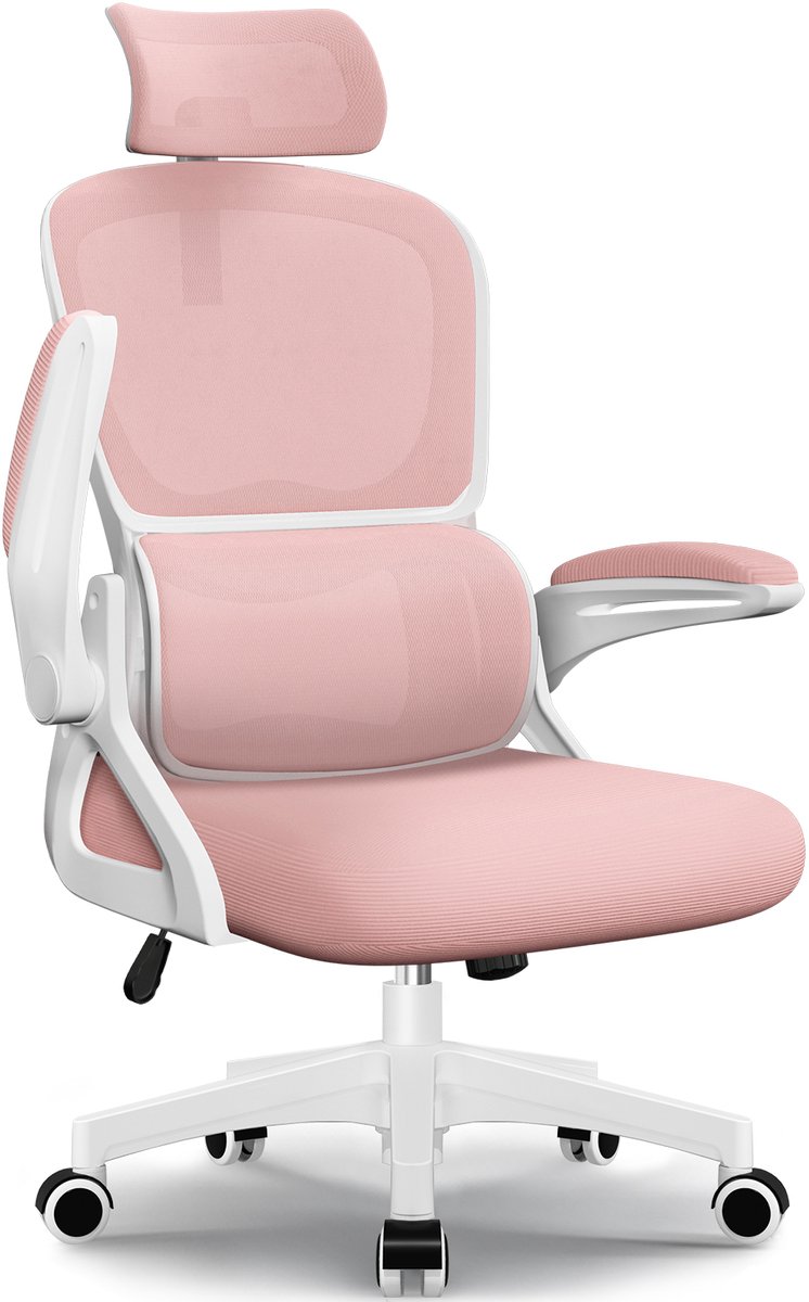 Hiaonyx bureaustoel-Ergonomische (EAN: ...0421)