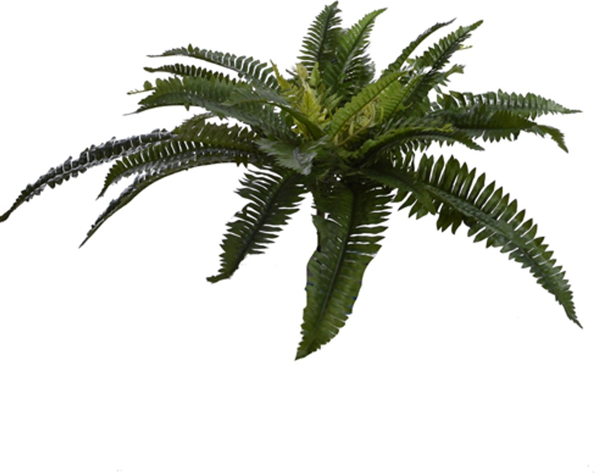 Pure Royal kunstplant varen 59cm groen
