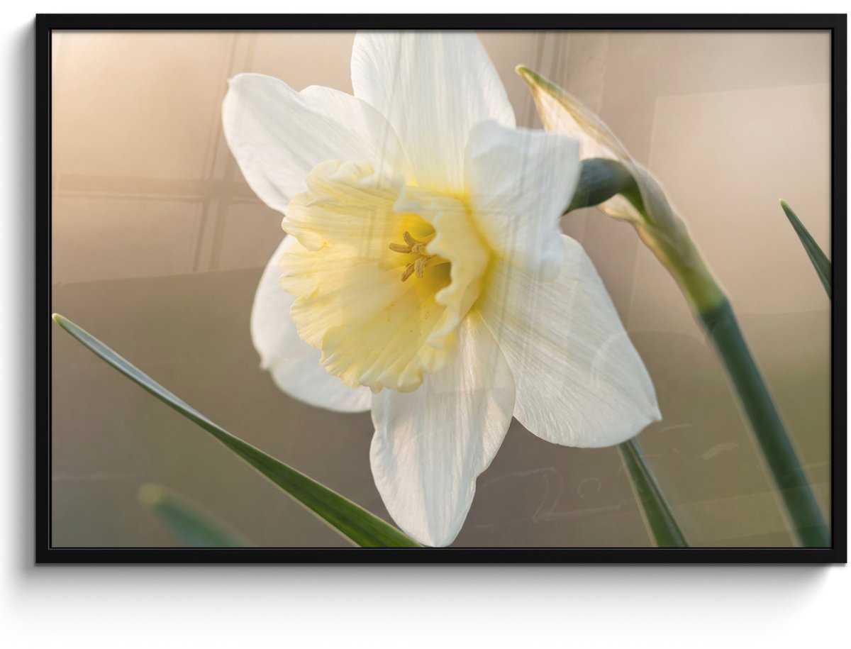 FrameYourWall Poster in lijst - Fotolijst 120x80 cm - Posters - Narcis - Bloem - Minimalistisch - Posterlijst zwart - Decoratie - Wanddecoratie woonkamer - Muurdecoratie slaapkamer Narcist - Bloem - Minimalistisch